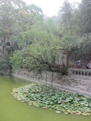 IMG_0572.JPG