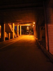IMG_3021.JPG