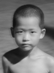 ZQ 009_副本.jpg