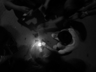 ZQ 014_副本.jpg