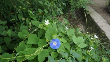 DSC00187.JPG