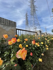 5D464020-7800-46E3-8D47-6344563FBEE1/L0/001