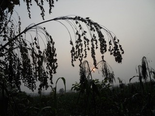 DSCN0062.JPG