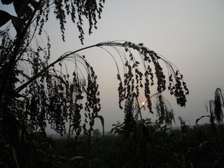 DSCN0063.JPG