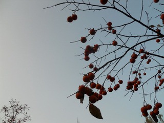 DSCN0045.JPG