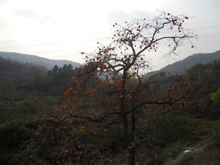 DSCN0212.JPG
