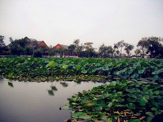 dscf0841_副本.jpg