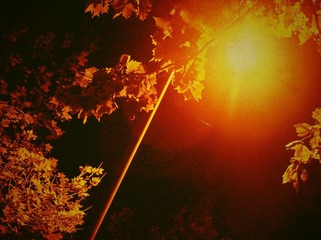 DSCF1013_副本.jpg