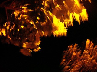 DSCF1016_.jpg