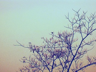 dscf1223副本.jpg