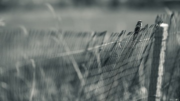 _B7I4977