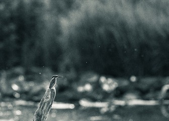 _B7I5509