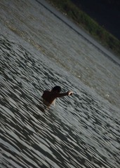 IMGP3759.jpg