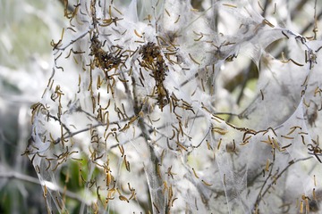 IMGP1214.jpg