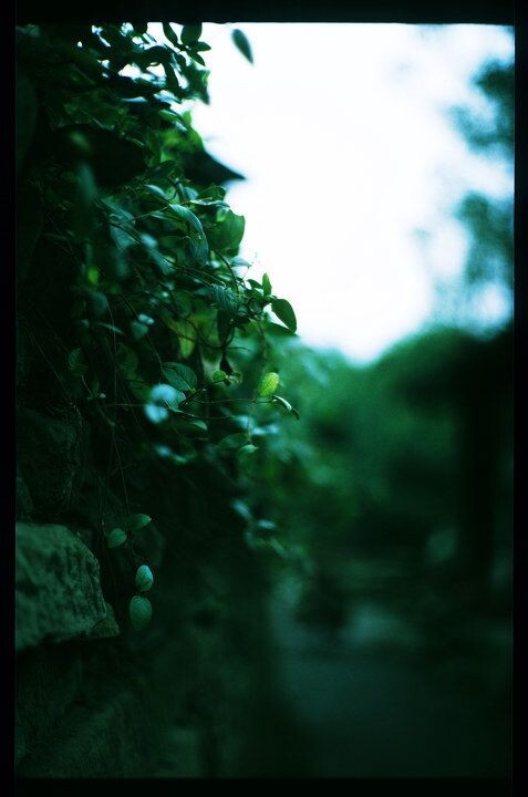 IMG002 (2) <br />
