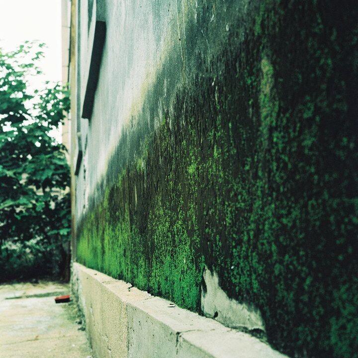 000003 (2)<br />
