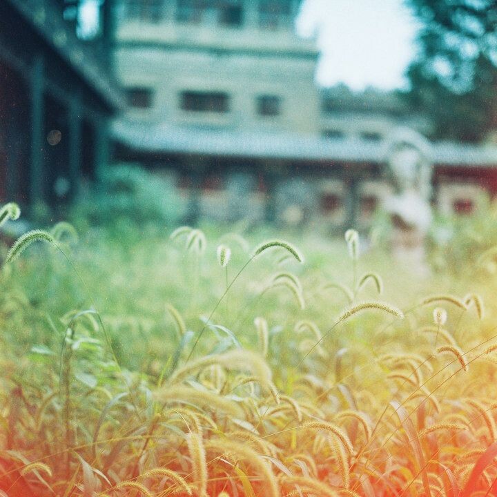 000010 (2)<br />
