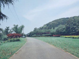 547508