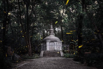 暗夜精灵