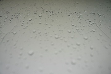 DSC00869.JPG