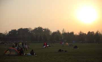IMG_4453.JPG