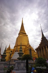 DSC08904.jpg