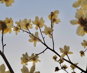 D752DB95-80F4-4D7A-8529-7678D9653188/L0/001