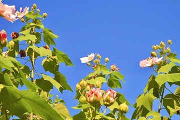 713CA93E-804E-45F8-9417-BC8C754E76E1/L0/001