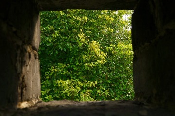 CD50D49F-117C-4B9F-8D17-1595FA6B7392/L0/001