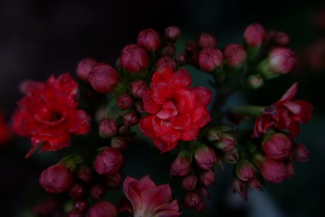 7CE369DC-9736-43CC-A79A-56786F95BEFD/L0/001
