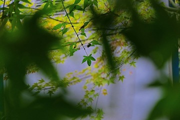 Optional("A4621494-9469-44CD-8E90-BF394DA52B0B/L0/001")