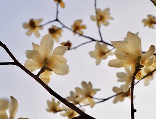 38741051-F588-4FB6-B426-870CF46A4421/L0/001