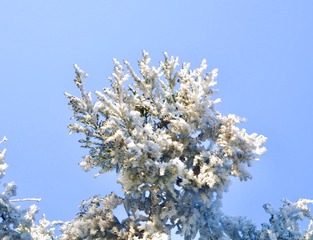 7234E2EE-1171-4EC5-9BCB-3D255962E654/L0/001
