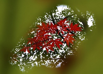 Optional("C6285A48-F637-4E1A-A4B9-92072F3B767A/L0/001")