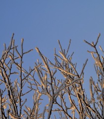 6400210F-98C3-466E-8E7A-D8B045E981FE/L0/001