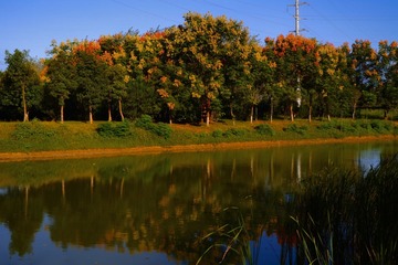 477F2A4E-F03A-4BCC-982C-A3B0CB276557/L0/001