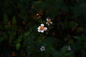 B0E7F623-FCAF-4603-A0B6-387879C80E1D/L0/001