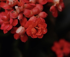 D4FFCA92-E5A4-4B8B-8E1F-14FA226BB5B7/L0/001