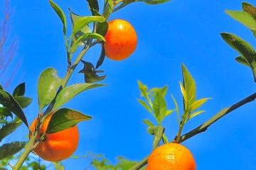 6620883B-FEB2-4776-A7F3-81EA44194C32/L0/001