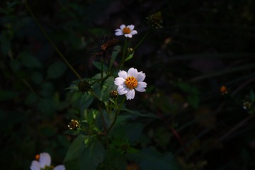 29203884-AB16-410C-B6B0-8D19DB328B00/L0/001