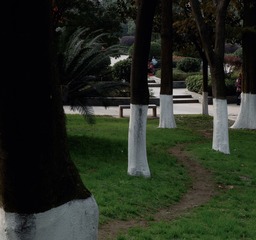 08D89121-7BB6-4832-8AFB-D0A56F65197D/L0/001
