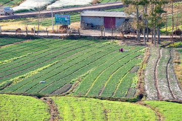 _MG_0567 拷贝