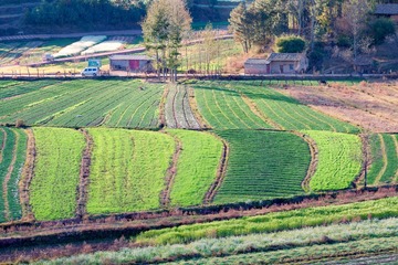 _MG_0572 拷贝