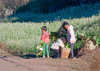 _MG_0517 拷贝