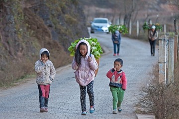 _MG_0540 拷贝