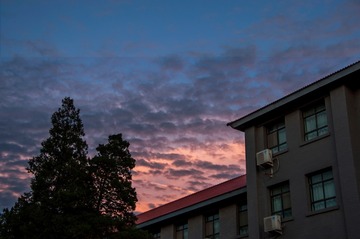 学校里随手拍
