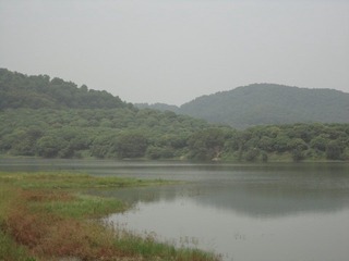 DSC00157.JPG