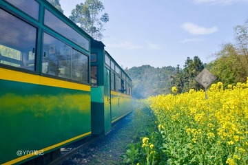 _ZY14966