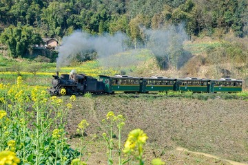 _ZY15265