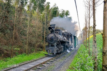 _ZY15292